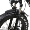 Model SF2 CE Certificated 20 Inch Fat Tire Foldable Electric Bike 