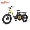  Sobowo Model N3-F Front Drive Motor Fat Tire Electric Tricycle for Sale