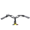  Sobowo Model N3-F Front Drive Motor Fat Tire Electric Tricycle for Sale