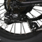Model SF2 CE Certificated 20 Inch Fat Tire Foldable Electric Bike 
