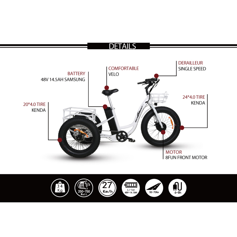  Sobowo Model N4-F Cheap Front Drive Motor Fat Tire Electric Tricycle for Adults