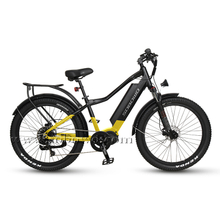 750w/1000w Powerful Bafang Ultra Mid Motor Off-road Fat Electric Bike for All Terrain