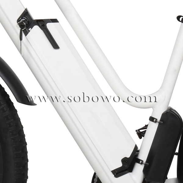 The Best Step Through Fat Tire Electric Bike for Sale
