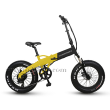 20 Inch Hidden Battery Electric Folding Fat Bike for Sale