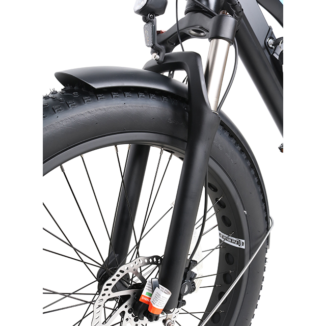 Classic And Economical Fat Tire Off Road Electric Bike for Wholesale