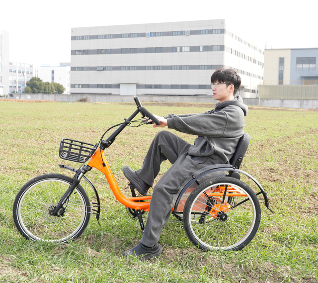 Factory Frigate Human-powered Tricycle Capable of Carrying Goods