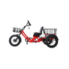 48v 1500w Dual Motor Electric Tricycle 150KM Long Range 60ah Semi-recumbent E Trike—Voyager Luxury WN17