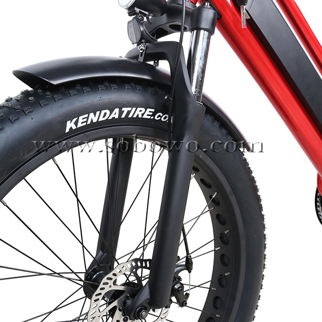 Mid Drive Step Through Fat Tire Electric Bike for Men And Women