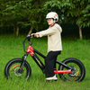 Compact Electric Bikes Ideal for Petite Riders, Youth, And Short Riders TwinTread 20 - SOBOWO