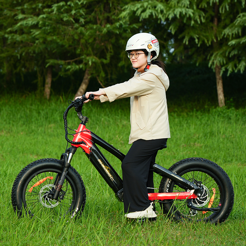Compact Electric Bikes Ideal for Petite Riders, Youth, And Short Riders MiniTread - SOBOWO