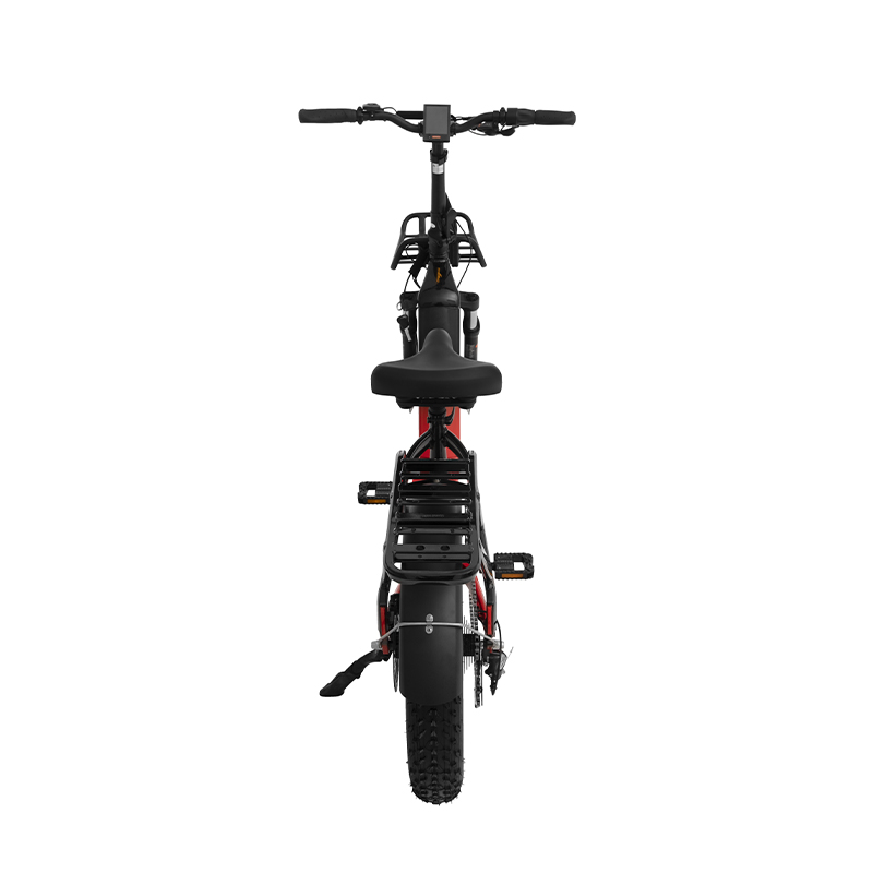 15" Frame Size Step Thru 500W 750W Foldable Electric Bike for Petite Riders WF01- Sobowo