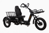 1000W 60Ah Semi-Recumbent Electric Tricycle - Sobowo Mike Destroyer 