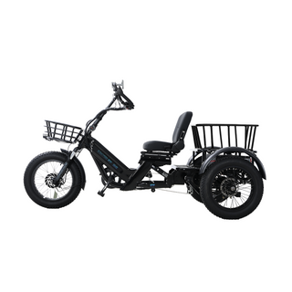 48v 2000w Dual Motor Electric Tricycle 400KM Long Range 80ah Semi-recumbent E Trike—Expedition