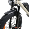 24 Inch Fat Tire 500w 750W Retro Electric Bike Motorbike E Bicycle with Long Seat