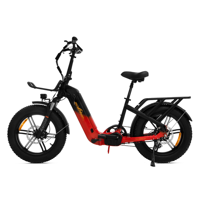 15" Frame Size Step Thru 500W 750W Foldable Electric Bike for Petite Riders WF01- Sobowo