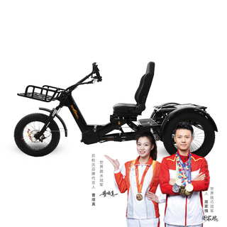 1000W 60Ah Semi-Recumbent Electric Tricycle - Sobowo Mike Destroyer 