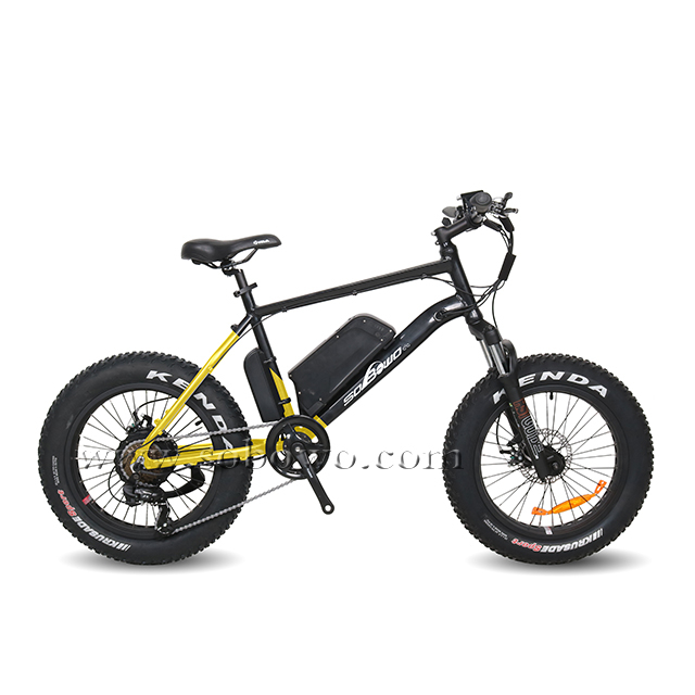 The Best Electric Fat Bike for Teenagers