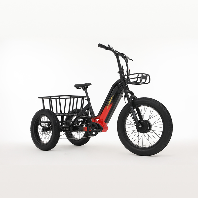 Sobowo Electric bicycle WN01