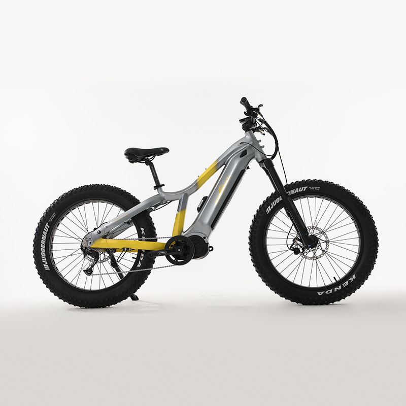 sobowo fat bike