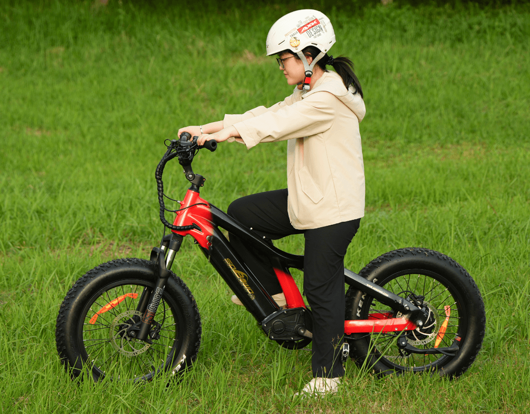 best electric bike for short riders