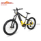 750w/1000w Powerful Bafang M620 Mid Drive Motor Off-road Fat Electric Bike for Sale