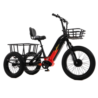 48v torque sensor 3 wheel cargo electric bike 1500w dual motor tricycle electric bike 24 inch kenda etrike