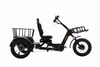 1000W 60Ah Semi-Recumbent Electric Tricycle - Sobowo Mike Destroyer 