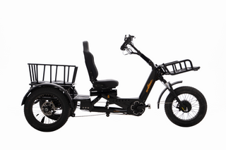 1000W 60Ah Semi-Recumbent Electric Tricycle - Sobowo Mike Destroyer 