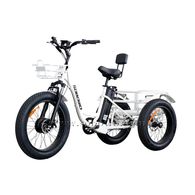 SOBOWO fat trike N4-F with back support.jpg