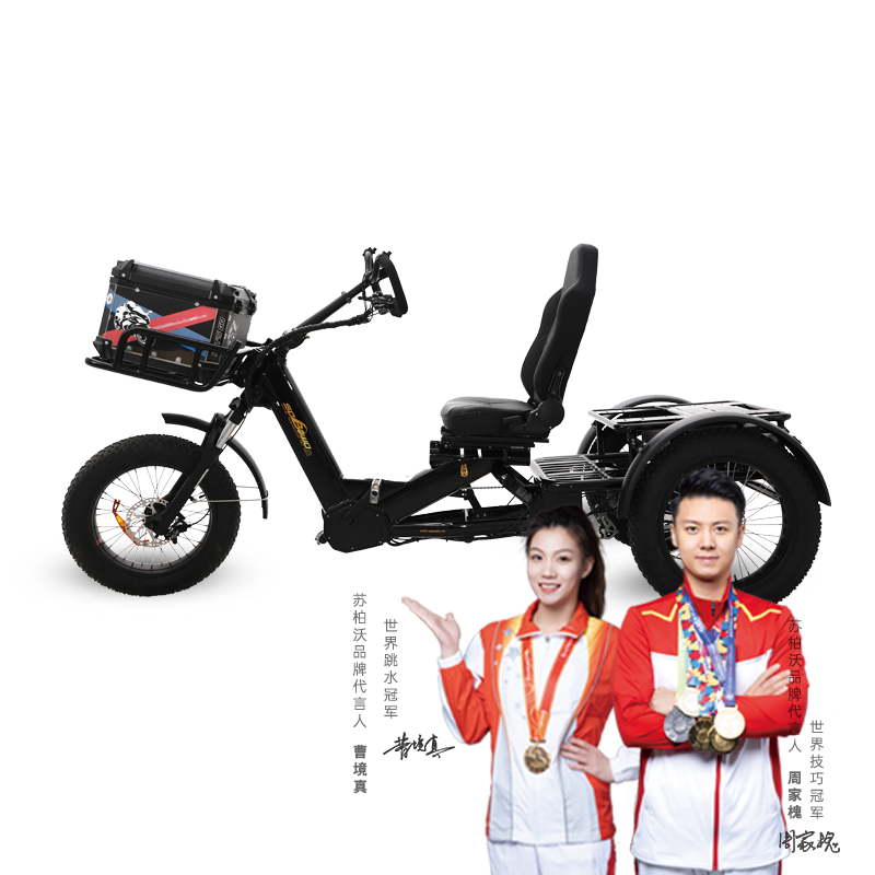 1000W 60Ah Semi-Recumbent Electric Tricycle - Sobowo Mike Destroyer 