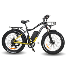Cheap Fat Tire Electric Bike for Sale