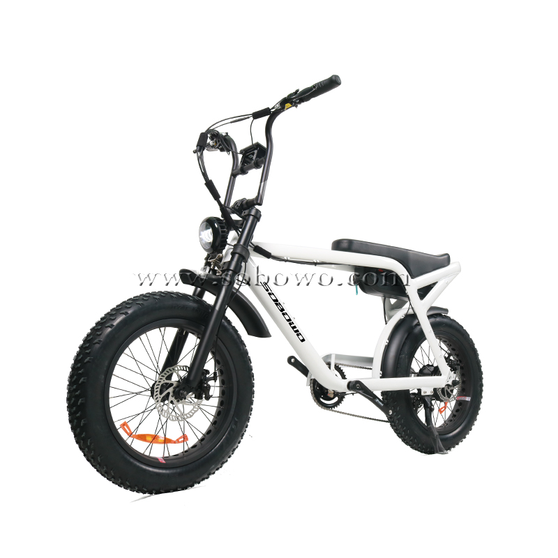 New Model Release--The introduction of Sobowo new electric bike model S82-1