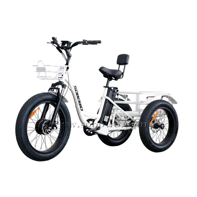 Sobowo Fat Tire Electric Tricycle with Back Support