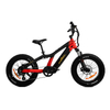 Compact Electric Bikes Ideal for Petite Riders, Youth, And Short Riders TwinTread 20 - SOBOWO
