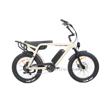 Best Retro Fat Tire Electric Moped Bike 