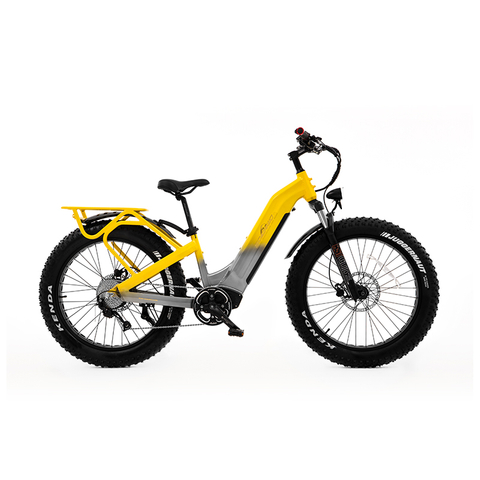 Step Thru All Terrain Dual Motor&Torque Sensor Shimano Fat Tire Women Electric Bike UrbanCruiser - Sobowo
