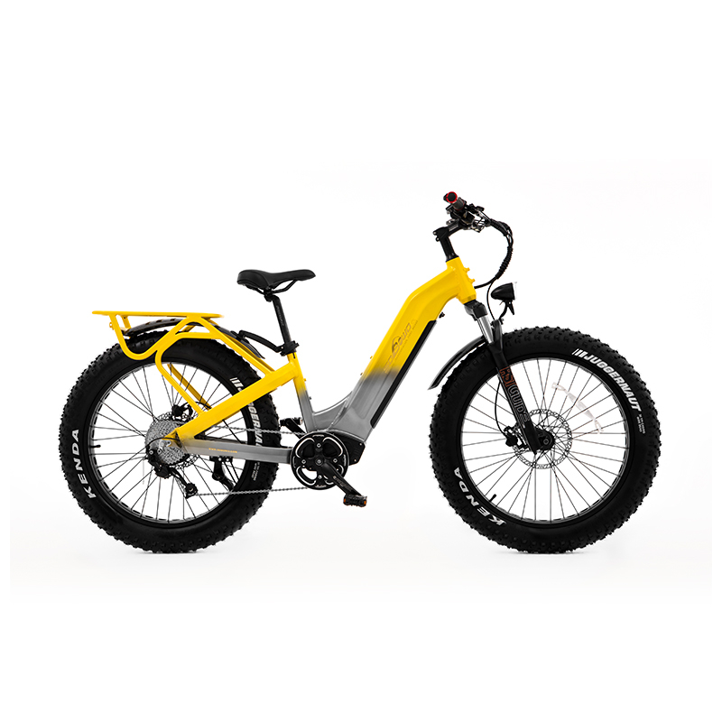 Step Thru All Terrain Dual Motor&Torque Sensor Shimano Fat Tire Women Electric Bike UrbanCruiser - Sobowo