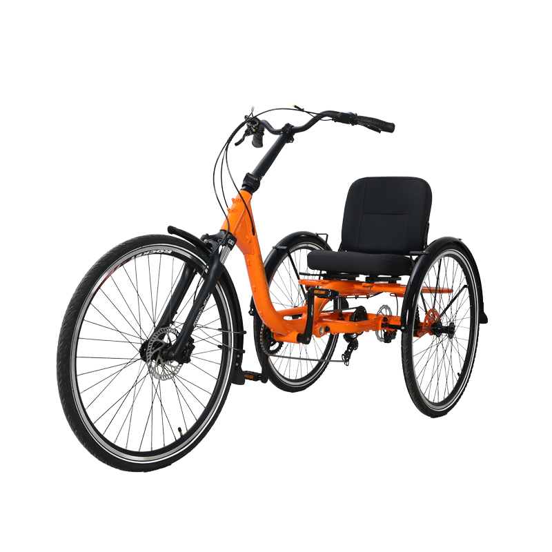 Factory Frigate Human-powered Tricycle Capable of Carrying Goods