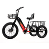 48v torque sensor 3 wheel cargo electric bike 1500w dual motor tricycle electric bike 24 inch kenda etrike