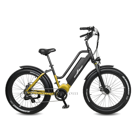 Mid Drive Step Through Fat Tire Electric Bike for Men And Women